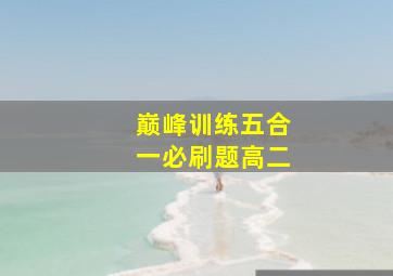 巅峰训练五合一必刷题高二