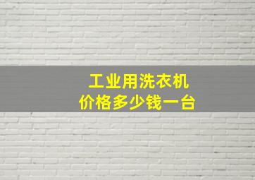 工业用洗衣机价格多少钱一台