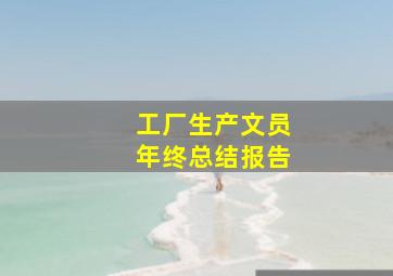 工厂生产文员年终总结报告