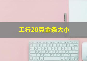 工行20克金条大小