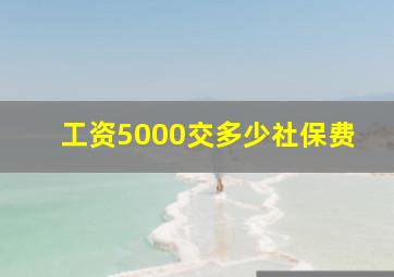 工资5000交多少社保费