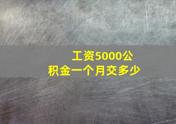 工资5000公积金一个月交多少