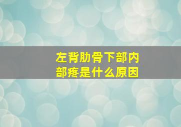 左背肋骨下部内部疼是什么原因