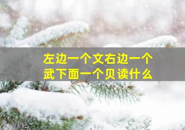 左边一个文右边一个武下面一个贝读什么