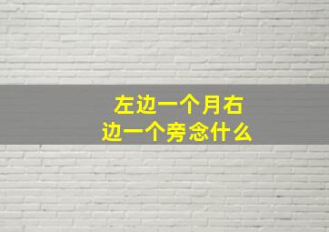 左边一个月右边一个旁念什么