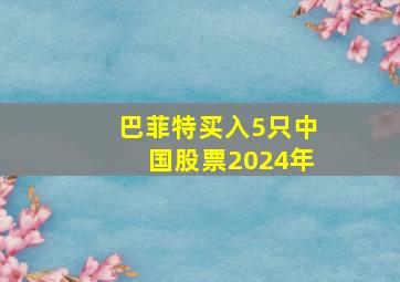 巴菲特买入5只中国股票2024年