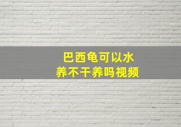 巴西龟可以水养不干养吗视频