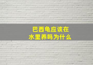 巴西龟应该在水里养吗为什么