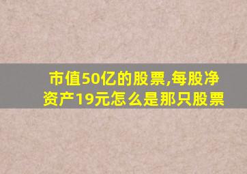 市值50亿的股票,每股净资产19元怎么是那只股票