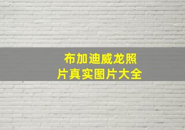 布加迪威龙照片真实图片大全