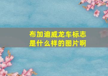 布加迪威龙车标志是什么样的图片啊