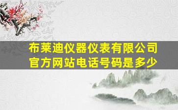 布莱迪仪器仪表有限公司官方网站电话号码是多少