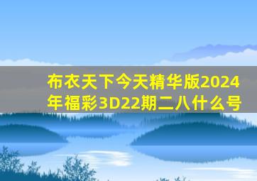 布衣天下今天精华版2024年福彩3D22期二八什么号