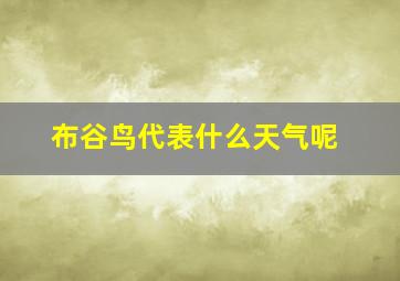 布谷鸟代表什么天气呢