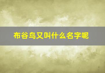 布谷鸟又叫什么名字呢