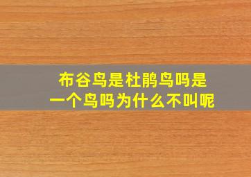 布谷鸟是杜鹃鸟吗是一个鸟吗为什么不叫呢