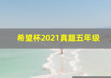 希望杯2021真题五年级