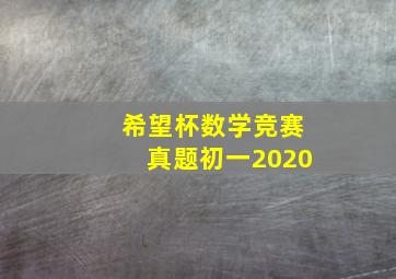 希望杯数学竞赛真题初一2020