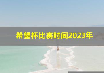 希望杯比赛时间2023年