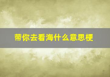 带你去看海什么意思梗