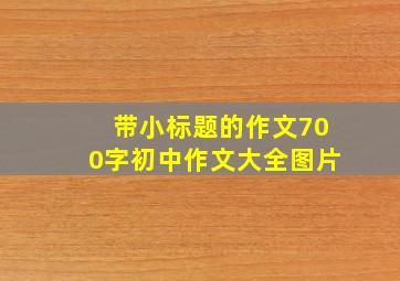 带小标题的作文700字初中作文大全图片