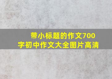 带小标题的作文700字初中作文大全图片高清