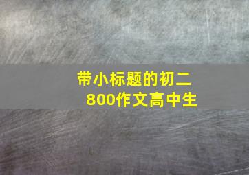 带小标题的初二800作文高中生