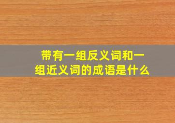 带有一组反义词和一组近义词的成语是什么