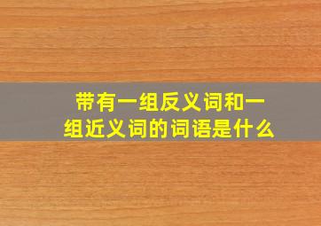 带有一组反义词和一组近义词的词语是什么