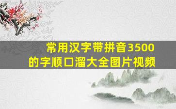 常用汉字带拼音3500的字顺口溜大全图片视频