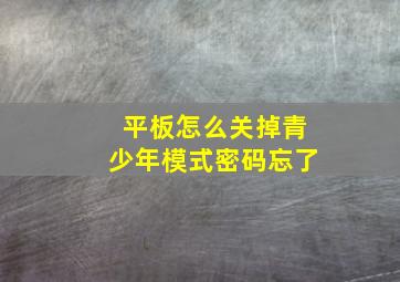 平板怎么关掉青少年模式密码忘了