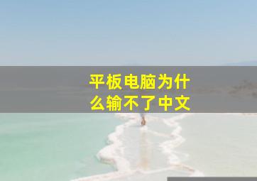 平板电脑为什么输不了中文