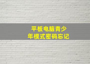 平板电脑青少年模式密码忘记