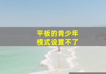 平板的青少年模式设置不了