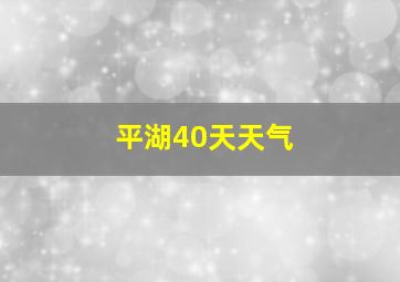 平湖40天天气