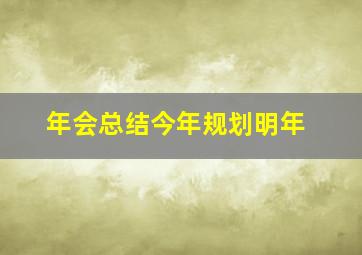 年会总结今年规划明年