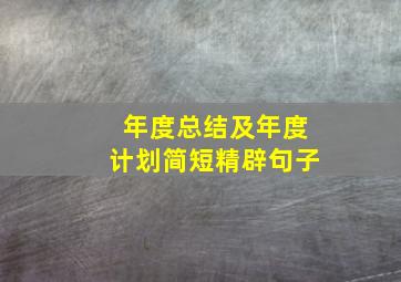 年度总结及年度计划简短精辟句子