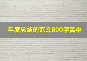 年度总结的范文800字高中