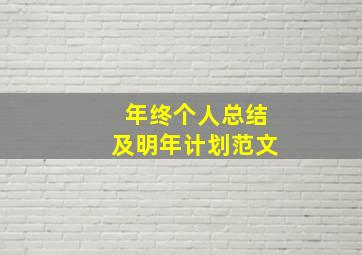 年终个人总结及明年计划范文