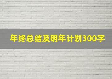 年终总结及明年计划300字