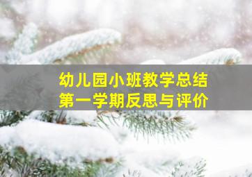 幼儿园小班教学总结第一学期反思与评价