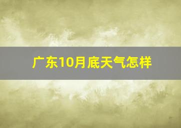 广东10月底天气怎样