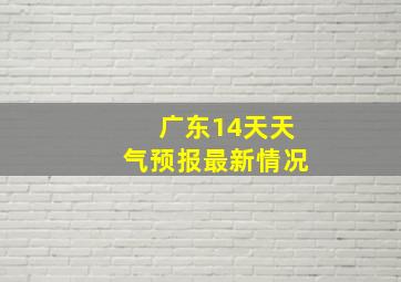 广东14天天气预报最新情况