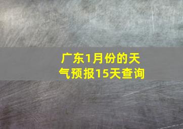 广东1月份的天气预报15天查询