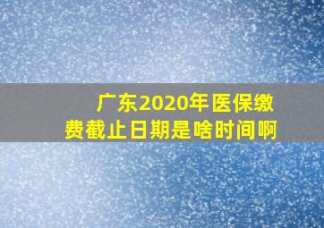 广东2020年医保缴费截止日期是啥时间啊