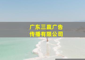 广东三赢广告传播有限公司