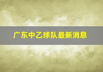 广东中乙球队最新消息