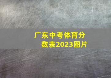 广东中考体育分数表2023图片