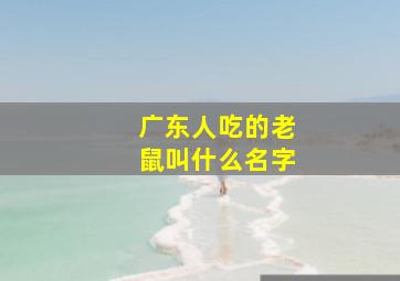 广东人吃的老鼠叫什么名字