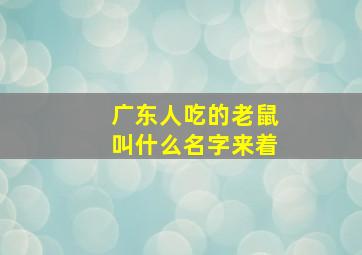 广东人吃的老鼠叫什么名字来着